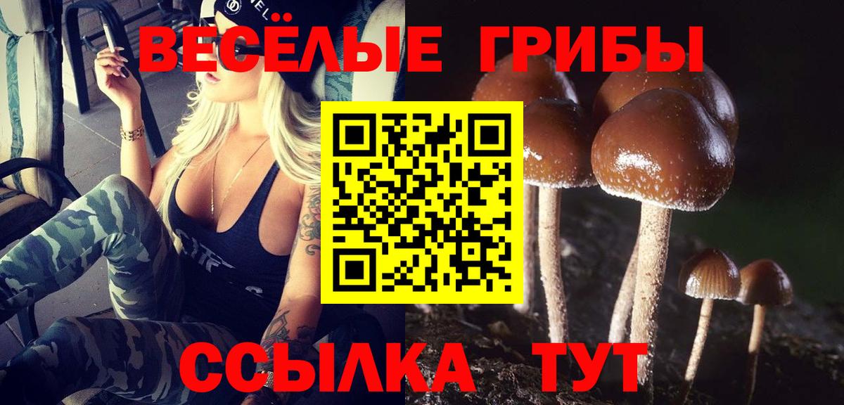 Псилоцибиновые грибы мухоморы  Вход с VPN  купить закладку  Мончегорск 